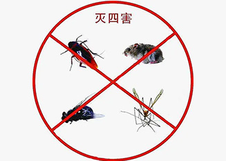 病媒生物防制知识宣传