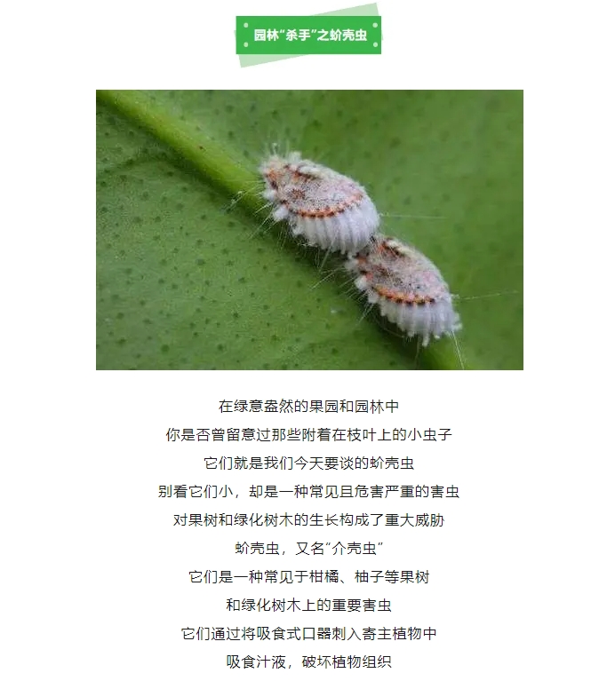 微信截图_20240704141612.png