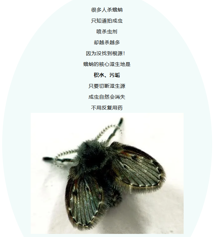 ScreenShot_2026-06-05_155434_120.png
