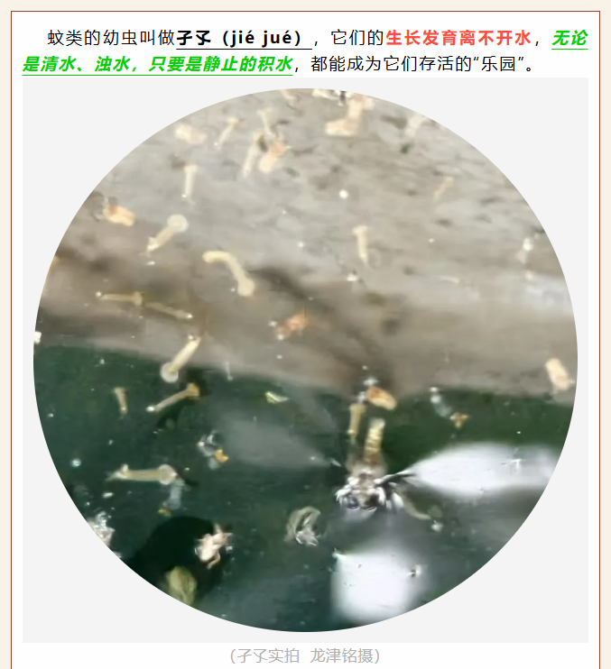 ScreenShot_2026-06-06_091942_350.png