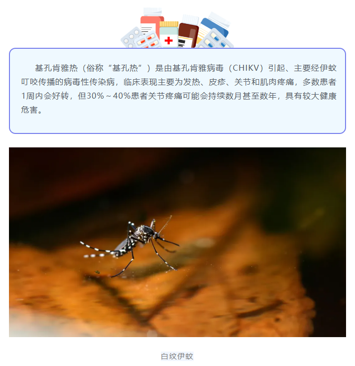 基孔肯雅热来袭，教你科学防蚊 行 乐 来恩有害生物防治  202